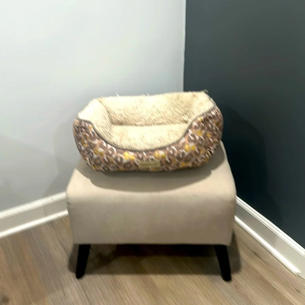 Pooch Planet Small Dog or Cat Bed